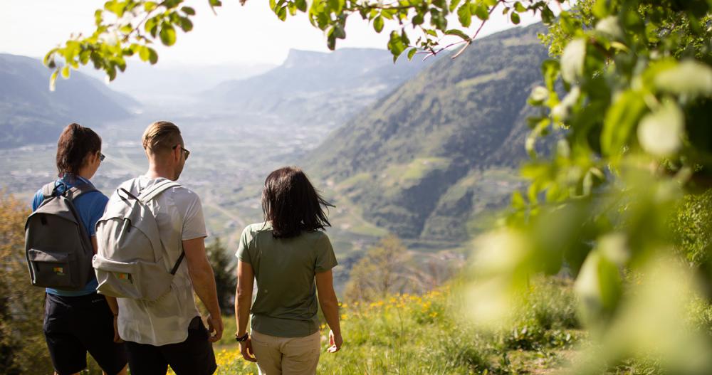 Geführte Wanderungen – TV Algund Geführte Wanderungen – TV Algund