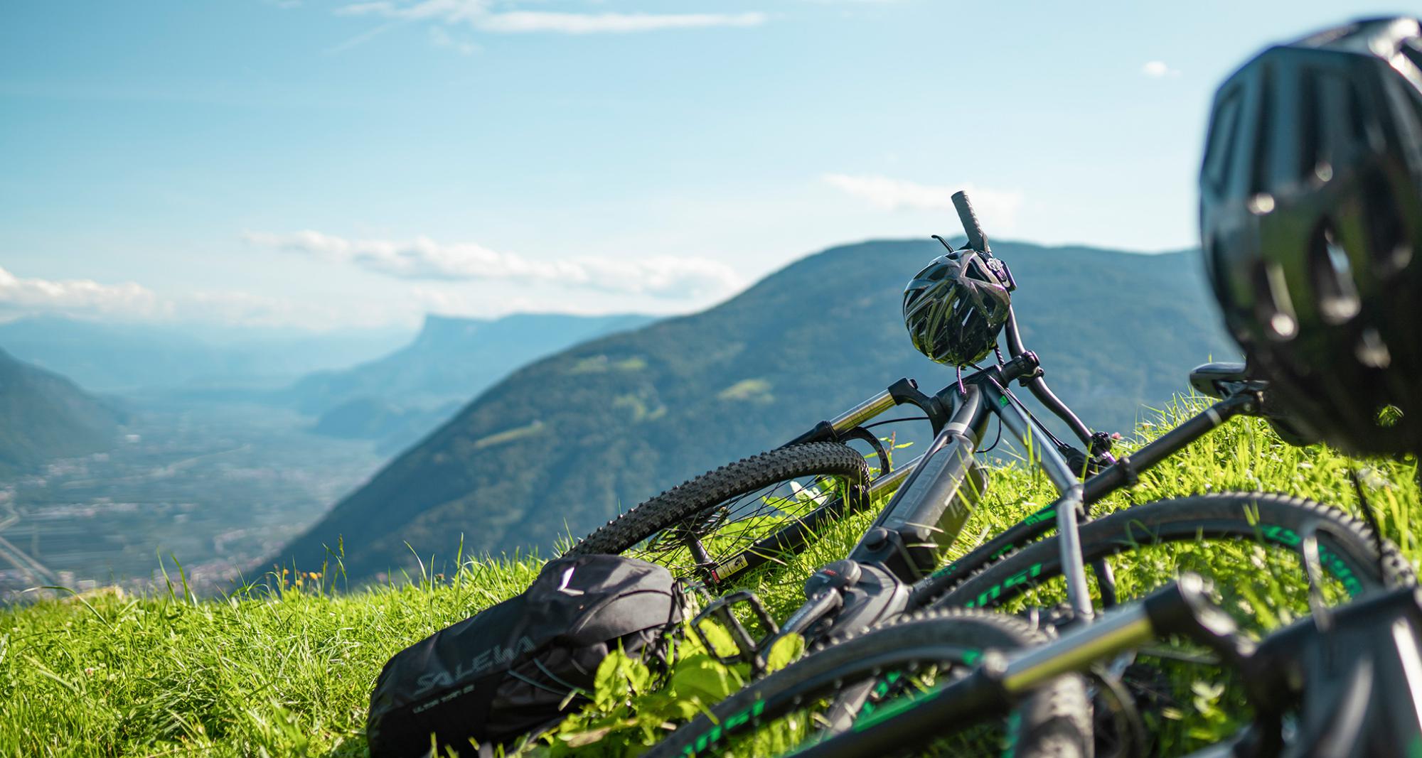 Mountainbikes liegen im Gras
