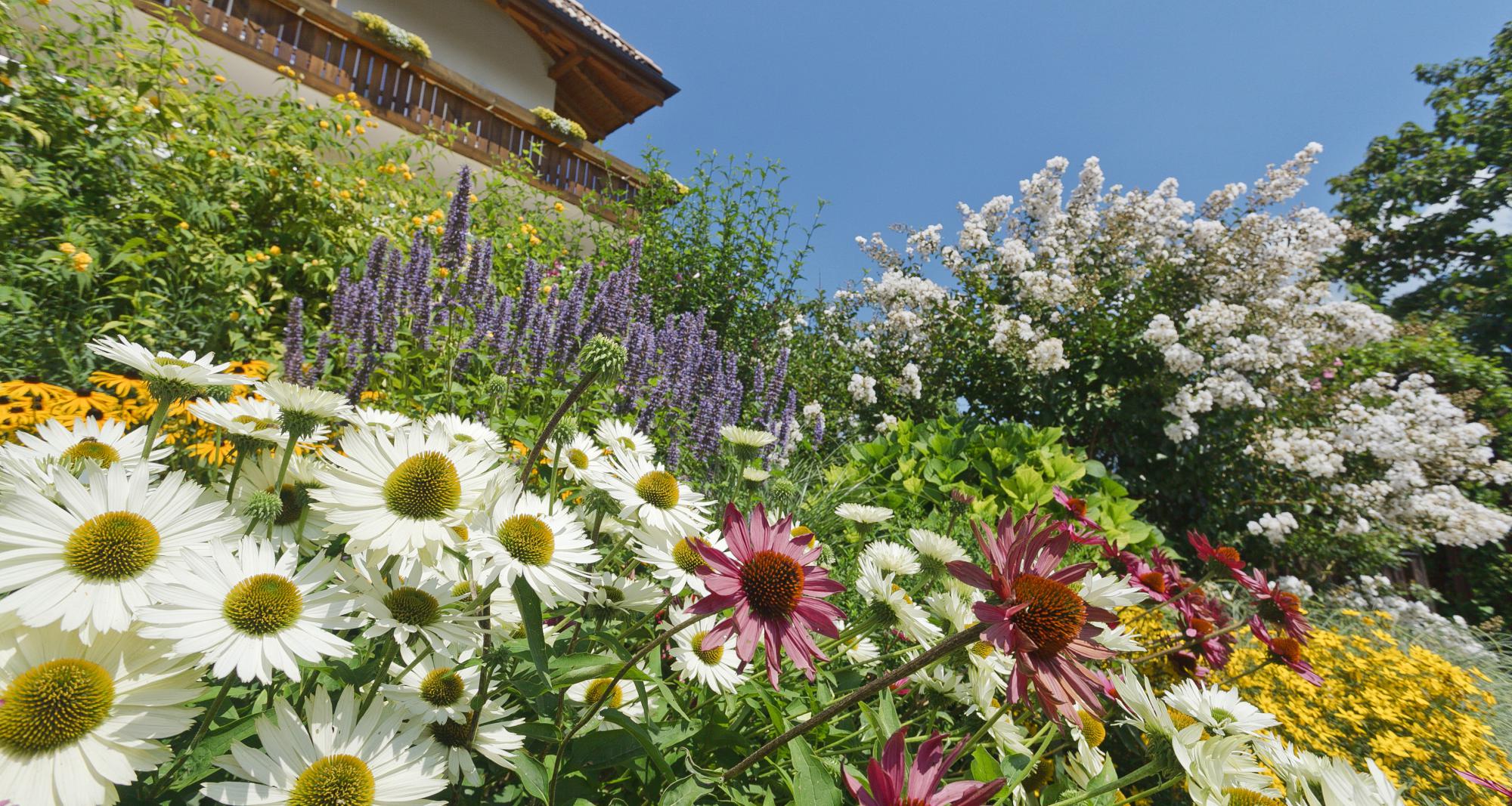 Pension Paradies