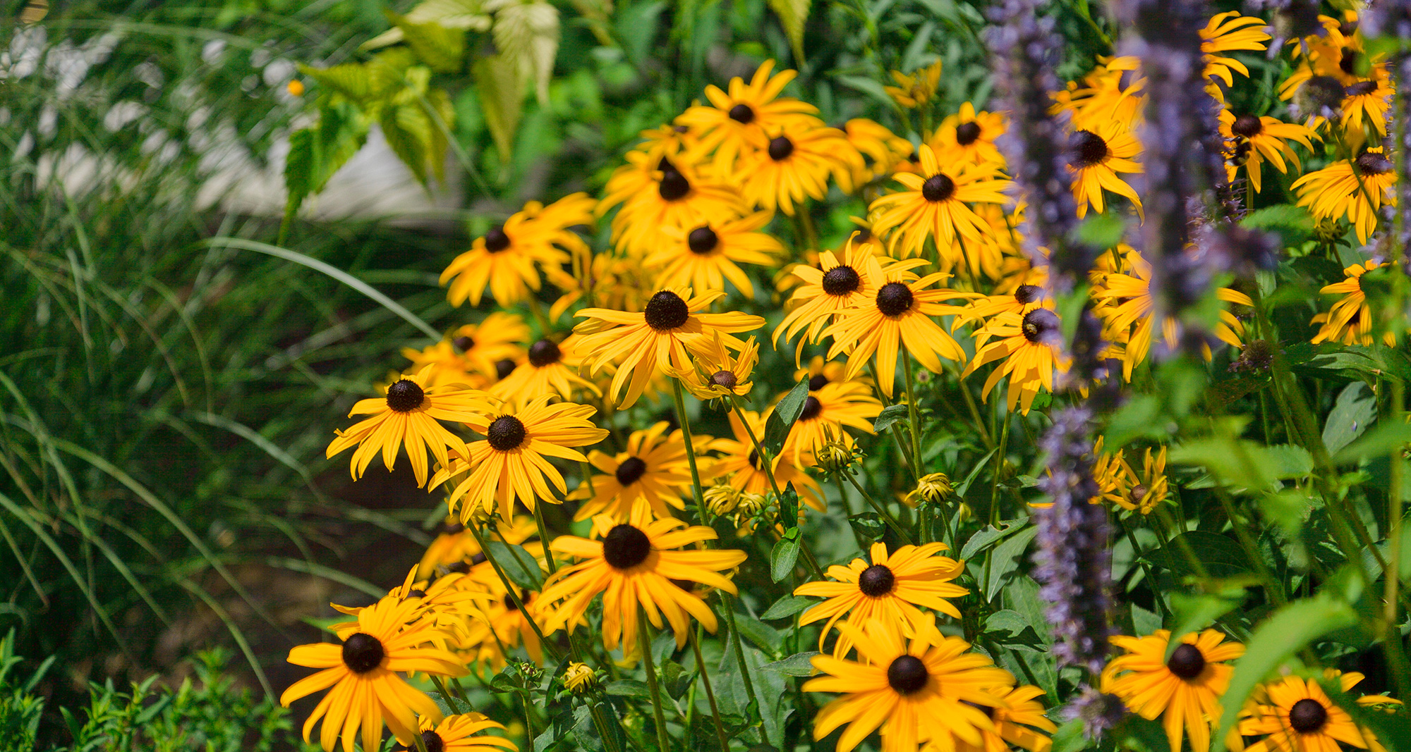 Blumenpracht Pension Paradies